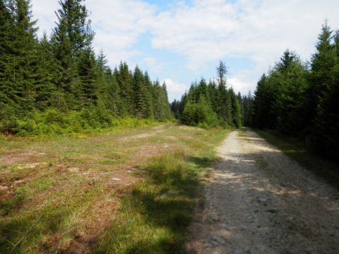 Foto 95
